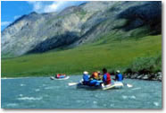 Canyon Run Paddle Rafting